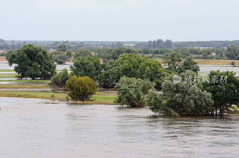 2013年大洪水的易北河堤防