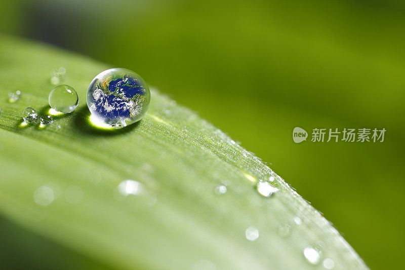 树叶与雨滴-恢复土地的概念