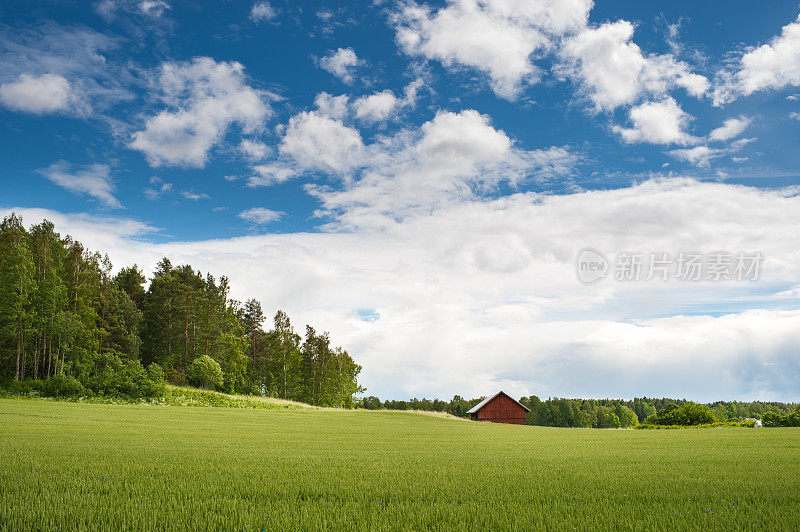 瑞典夏天的风景