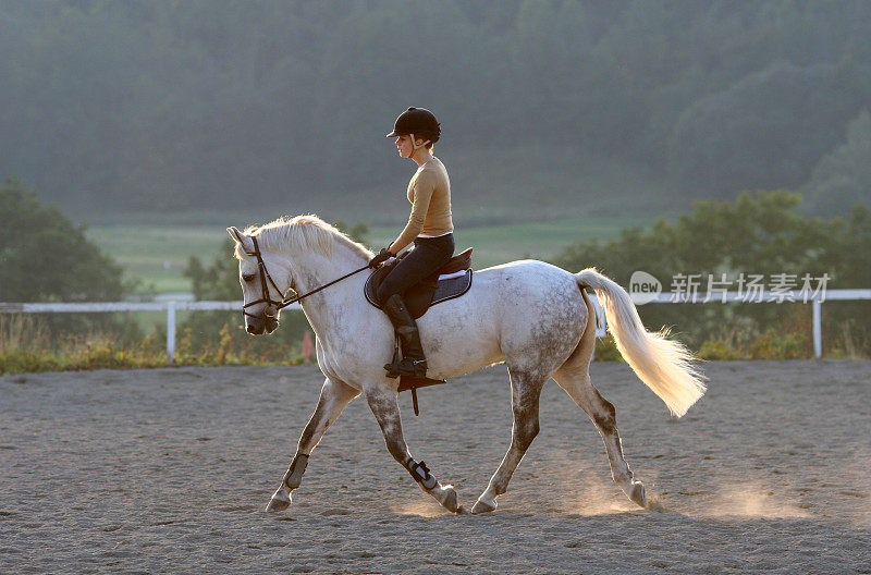 骑着白马的女孩