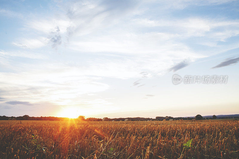 草地上的夕阳