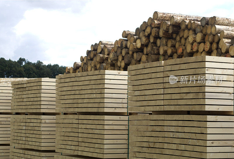 木材工业-锯木厂的木工