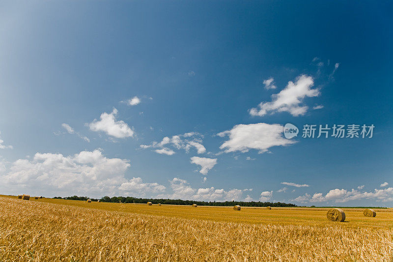 秸秆田干草包