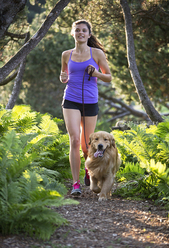慢跑者和金毛猎犬在树林小径上奔跑。
