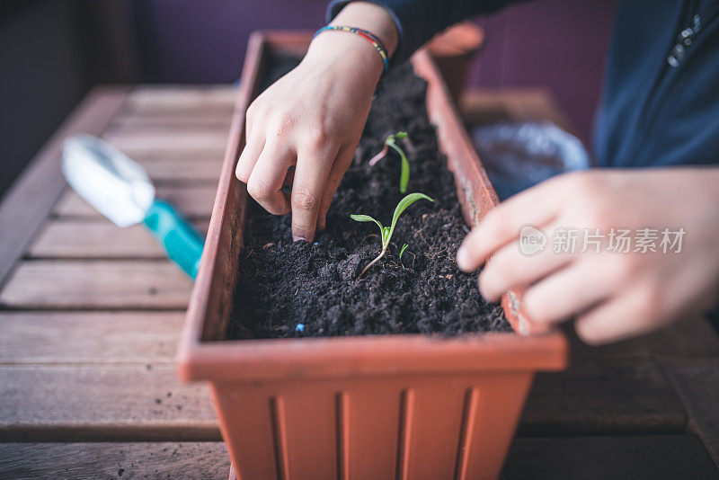 孩子照顾植物