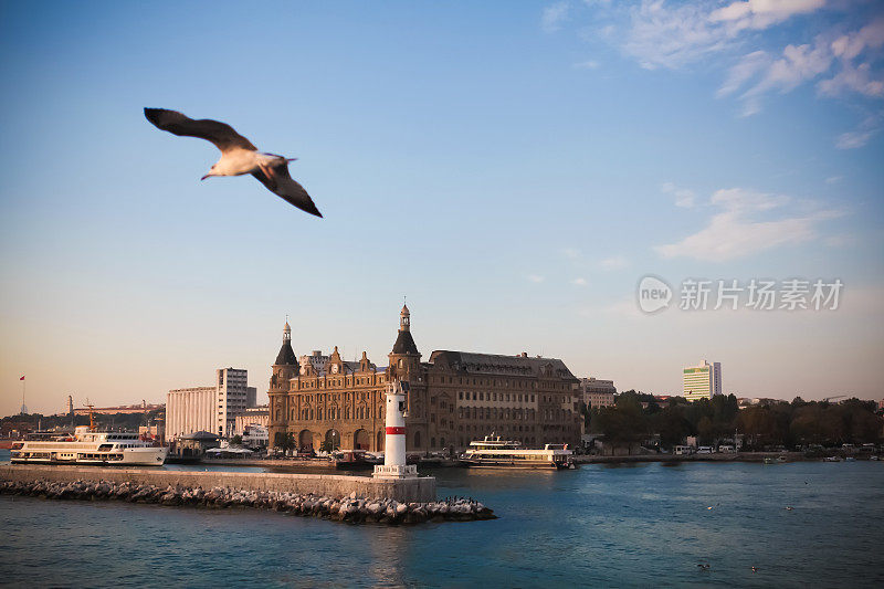 海鸥与海达帕萨