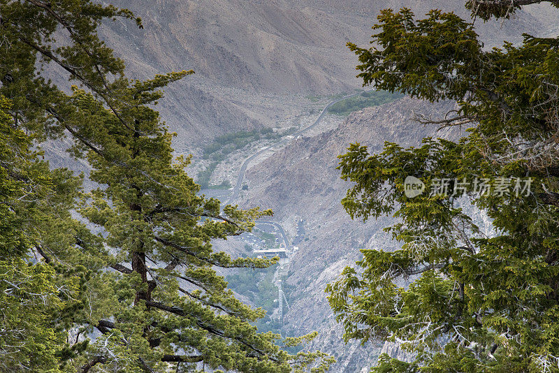 科切拉山谷和棕榈泉