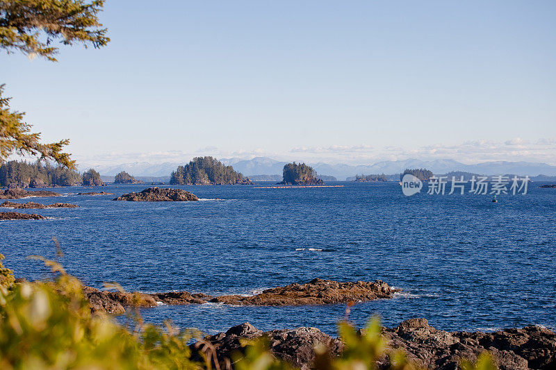 沿着野生太平洋小径的海景