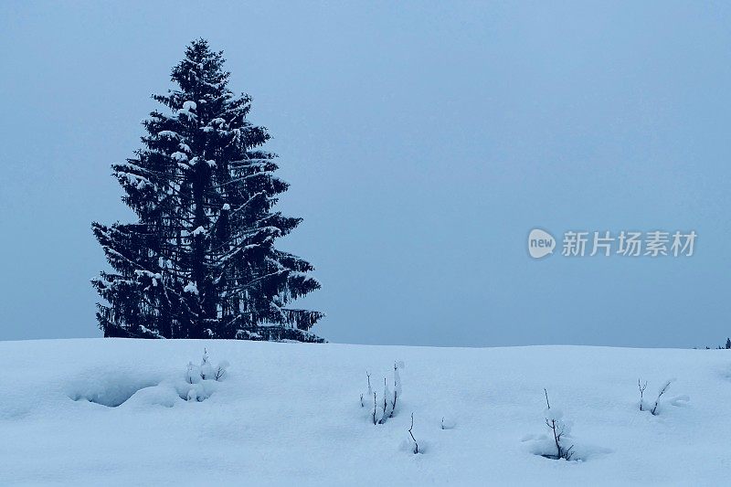 在欧洲阿尔卑斯山脉，冰雪覆盖的冬季景观和森林