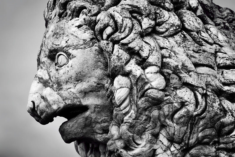美第奇狮的古代雕塑。意大利的佛罗伦萨