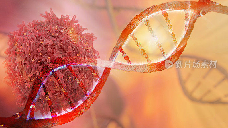DNA链和癌细胞