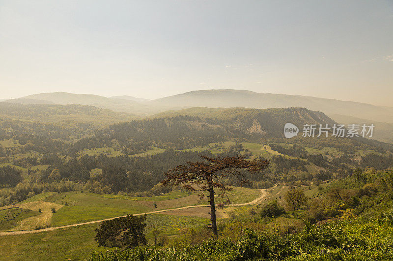 宁静的山场景