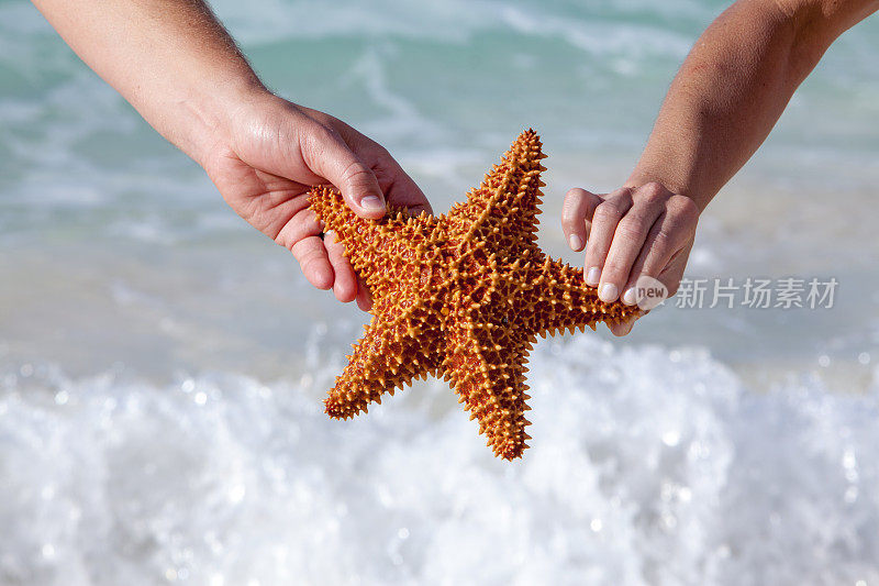 手牵着海星在加勒比海