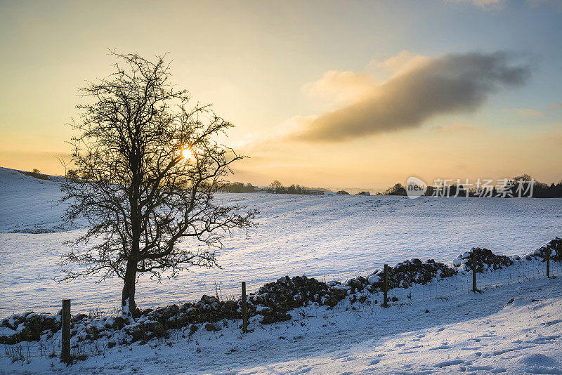 美丽的冰雪覆盖的冬季景观在日出在山顶地区在英国