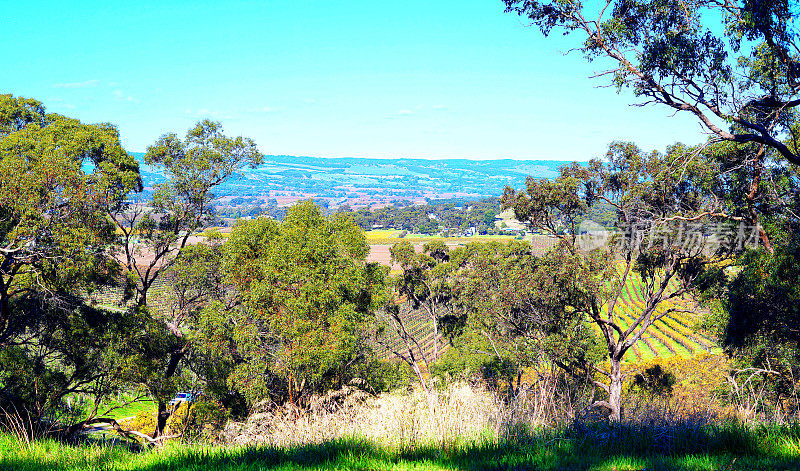 南澳大利亚麦克拉伦谷酿酒厂的山顶风景