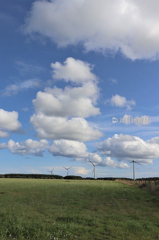 蓝天上飘着蓬松的白云，田野上有风力涡轮机