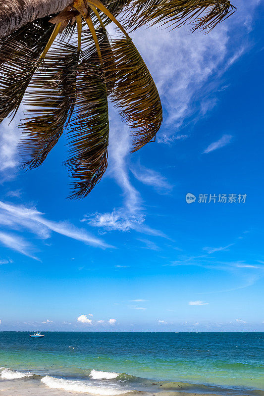 印度洋蒙巴萨海滩风浪