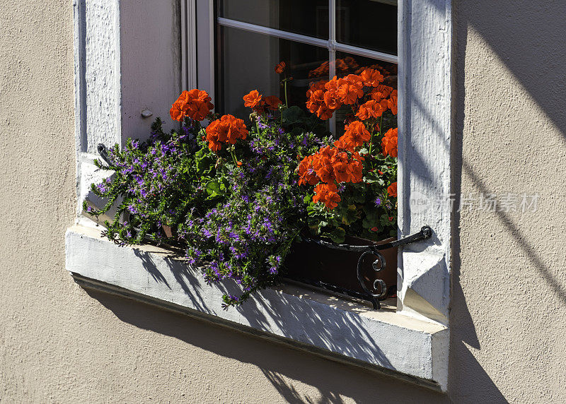 花之窗，Rüdesheim，德国