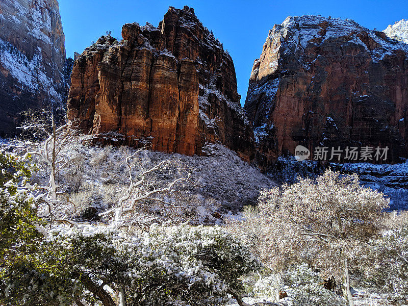 犹他州锡安国家公园维珍河沿岸的大本德红色岩石上的新雪