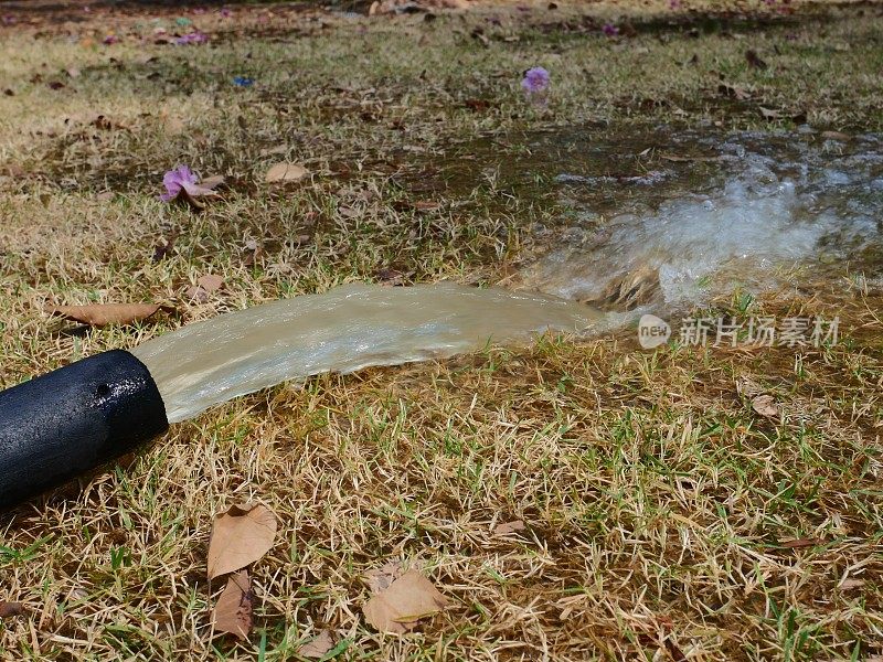 用软管浇草