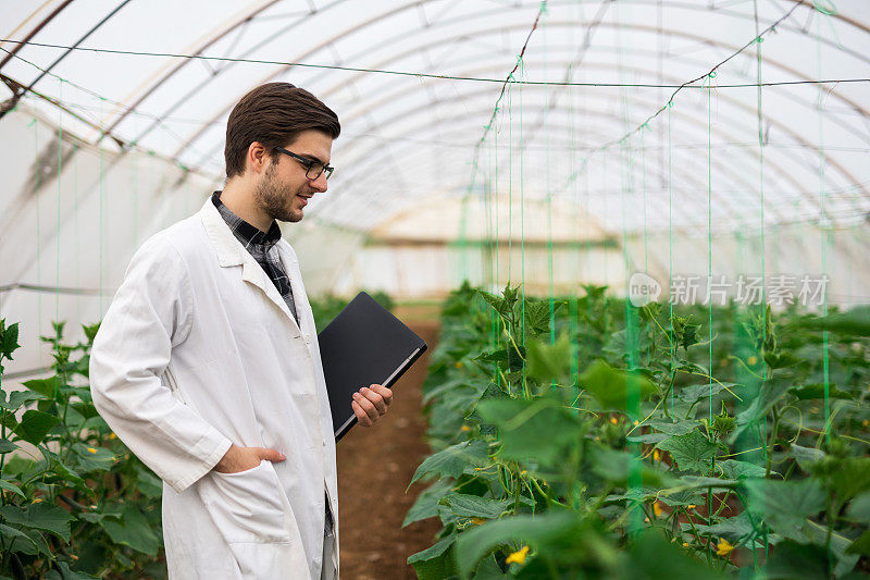 年轻科学家用笔记本电脑控制温室里的植物