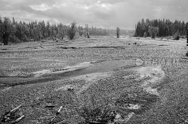 美国怀俄明州提顿国家公园朝圣者溪的干涸河床