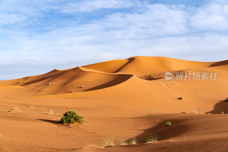 巨大的橙色沙状沙丘和多云的天空在Merzouga沙漠，摩洛哥。