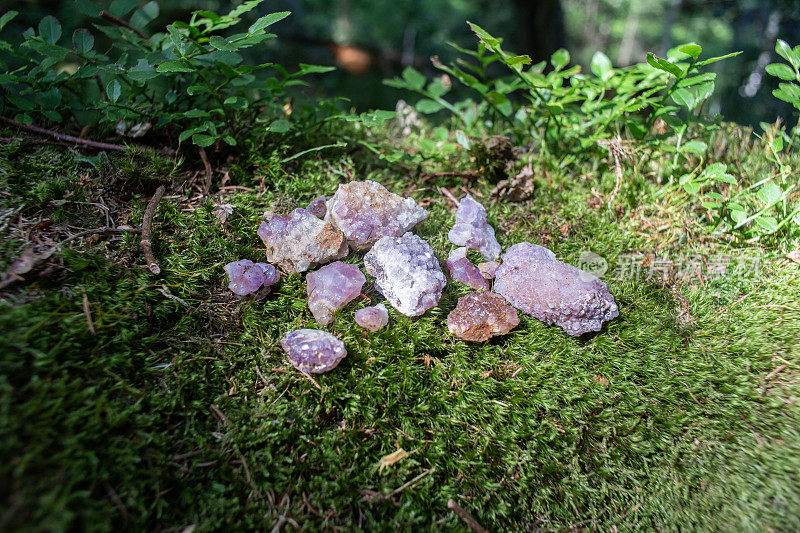 紫水晶石躺在苔藓上