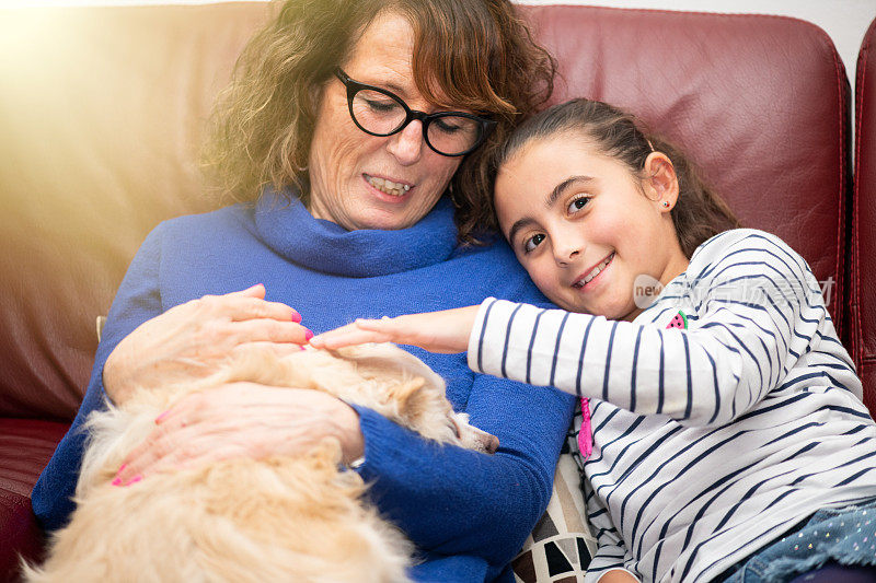 宠物的爱。甜蜜的时刻。奶奶和孙女坐在沙发上，抱着小狗。安慰,友谊的概念