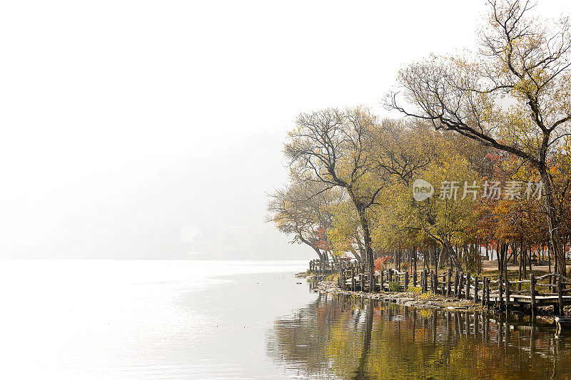 湖边的风景