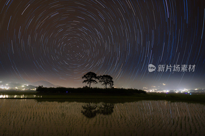 松树，星星和阴影