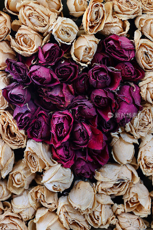 干燥的红玫瑰花束在一个广场上，红玫瑰排成心形，周围是白玫瑰，这是一个浪漫的情人节爱情主题。