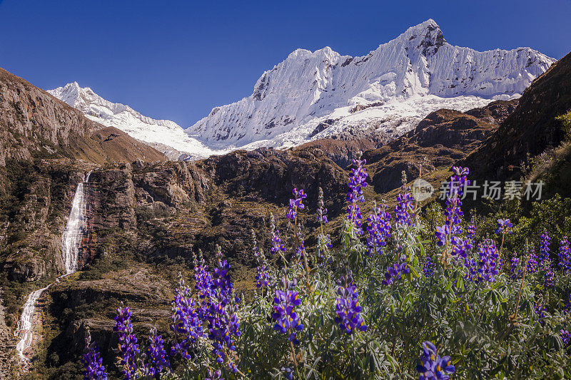 布兰卡山脉:秘鲁瓦拉兹附近的安第斯山脉，有瀑布和野花