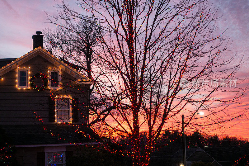 房子和圣诞树装饰着圣诞灯