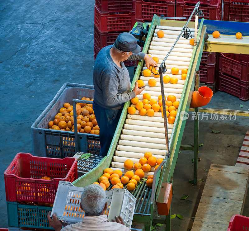 柑橘类水果的加工