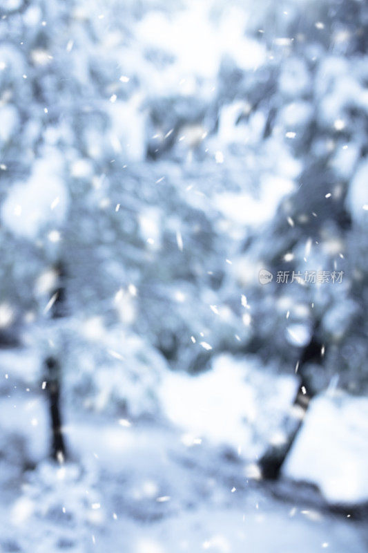 冬天下雪的背景