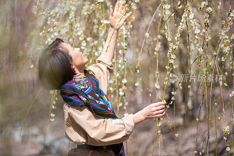 老妇人欣赏梅花花