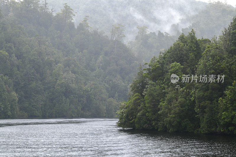 澳大利亚塔斯马尼亚州戈登河热带雨林荒野