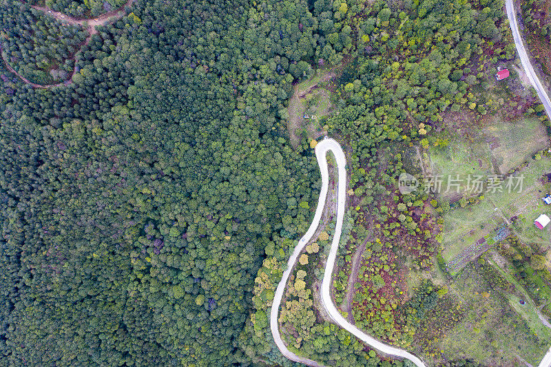 蜿蜒的道路。穿过森林的田园诗般的蜿蜒道路。