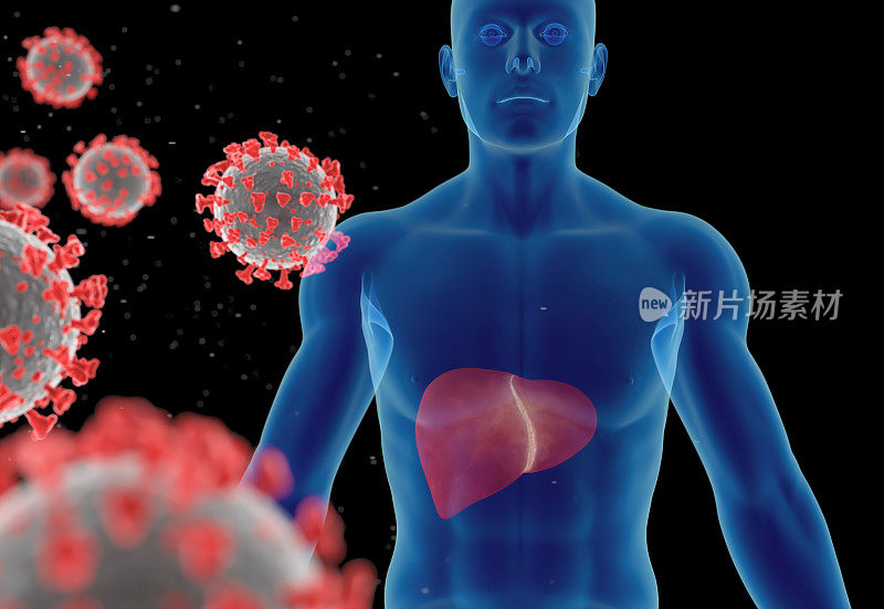 冠状病毒、病毒性肺炎或流感病毒感染的3D插图