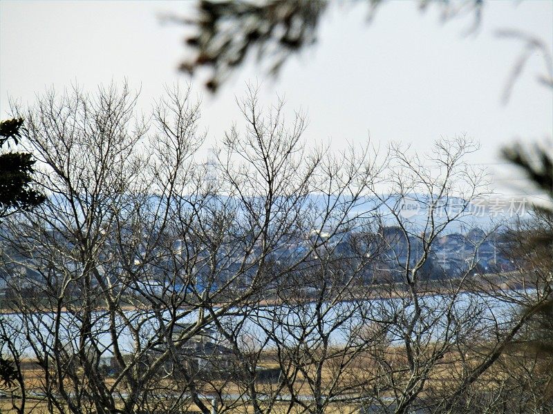 日本。1月底。春天的背景。