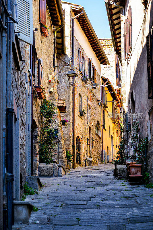 这是中世纪维特博中心圣佩莱格里诺村的一条田园诗般的小巷