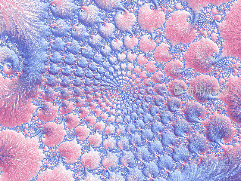 鹦鹉螺螺旋礁珊瑚抽象珍珠贝壳鹦鹉螺曼荼罗背景蓝色粉红色紫色淡紫色柔和的渐变漩涡图案曲线形状流动变形可爱的日出夏季春天纹理卷曲卷曲幻想超现实分形艺术
