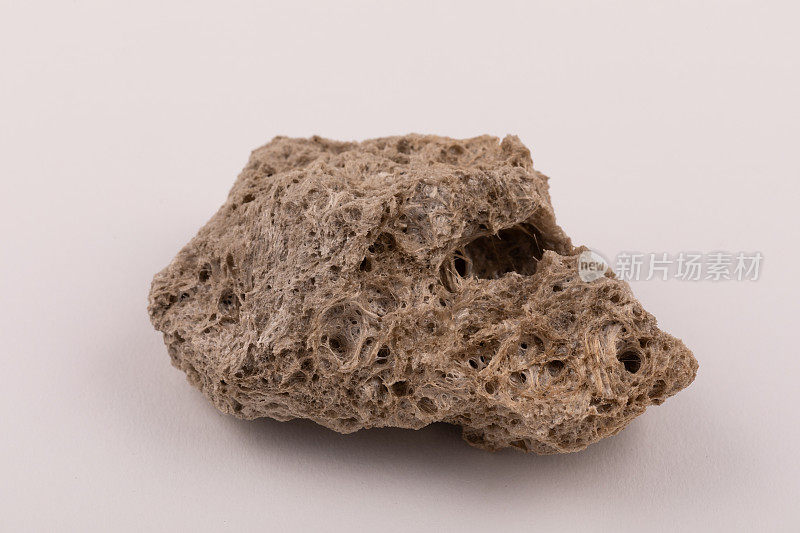 浮石火成岩地质标本