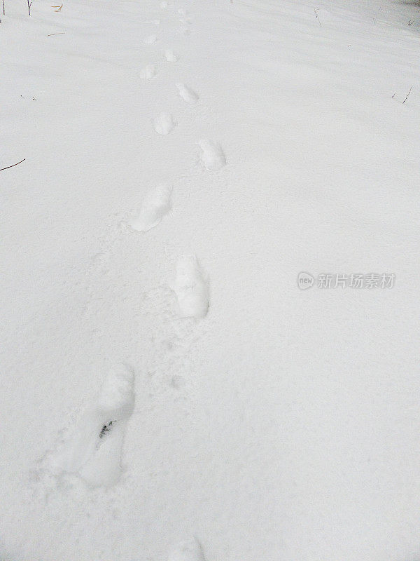 雪地里的人类脚印特写。雪的纹理与脚印。