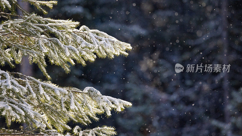 雪落