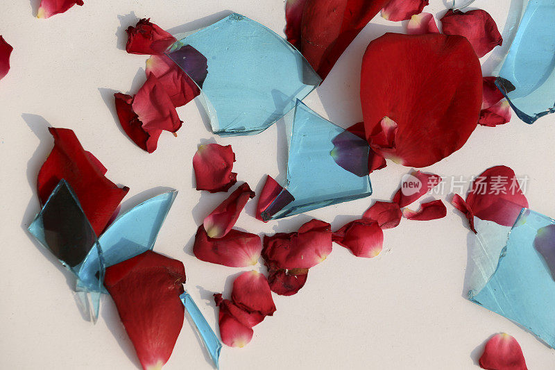 破碎的蓝色玻璃与红色玫瑰花瓣孤立在白色背景
