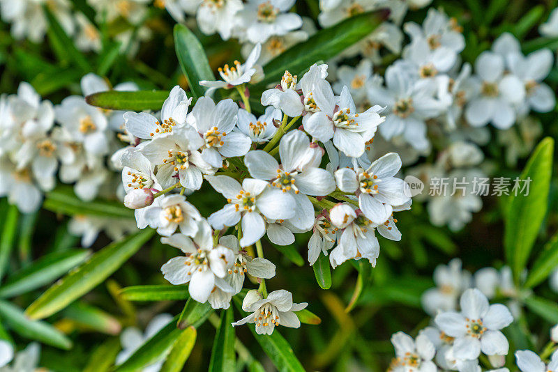 春暖花开