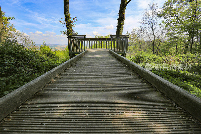 通向森林观景的木桥