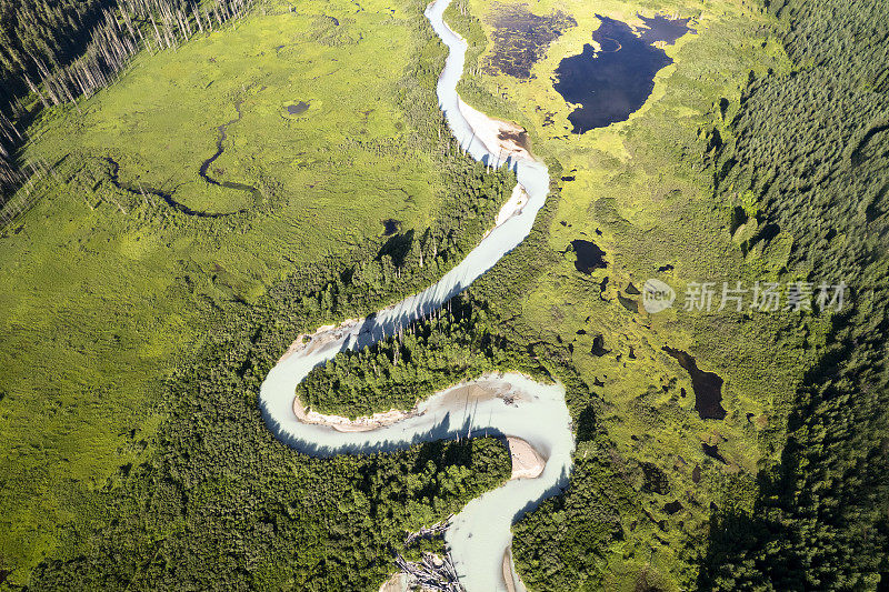 原始湿地的俯视视图